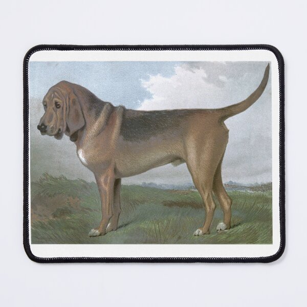 Item preview, Bloodhound Vintage Dog Chromolithograph Vero Shaw Dog Lover Gift designed and sold by ElegantTeaTime.