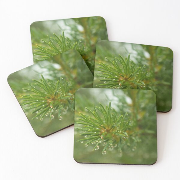 Item preview, Green spruce branch with drops of dew, close-up designed and sold by LiubovAvdeeva.