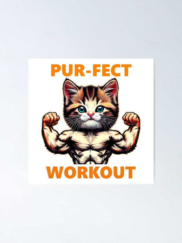 Kitten gym 2024