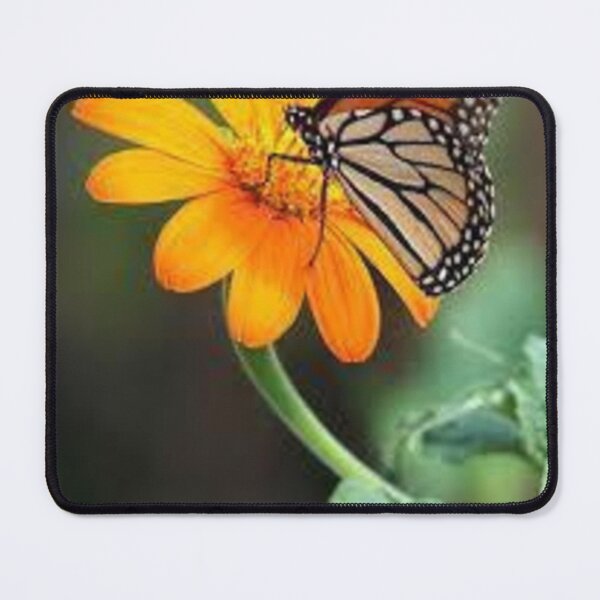 Item preview, Butterfly nd flower designed and sold by Style-And-U.