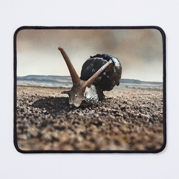Item preview, Armoured slug designed and sold by Glenbobagins.