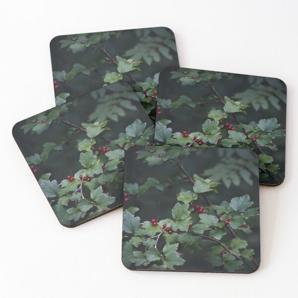 Item preview, Mountain currant designed and sold by carolmaia.