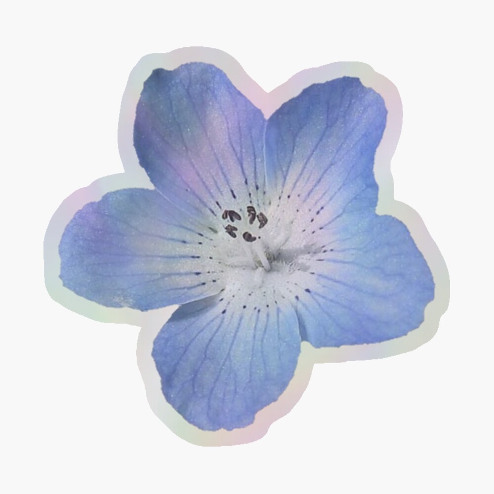 blue flower
