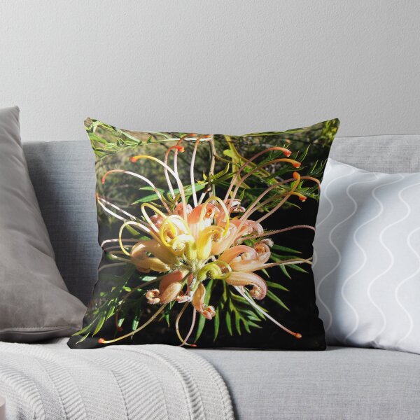 Item preview, "Peaches & Cream" designed and sold by Graeme  Hyde.