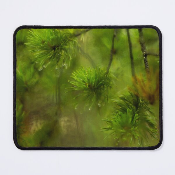 Item preview, Pine branches with water drops in the forest designed and sold by LiubovAvdeeva.
