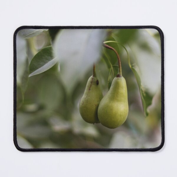 Item preview, green pear hanging on a branch among the leaves designed and sold by LiubovAvdeeva.