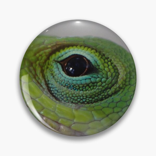 Item preview, Green Anole designed and sold by PteriGrus.