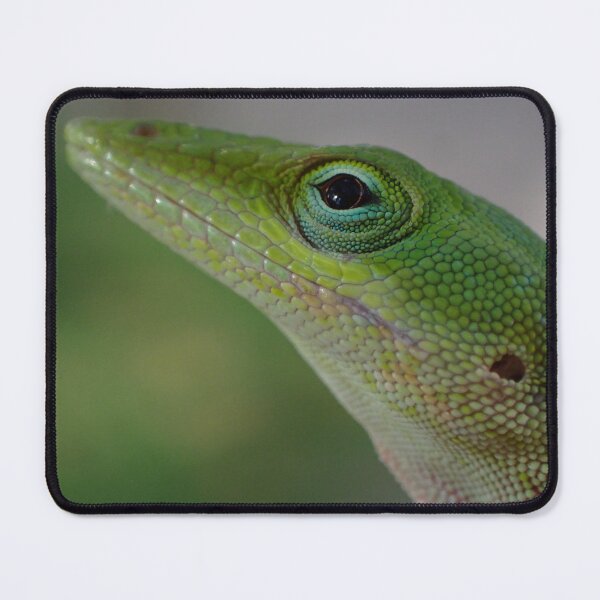 Item preview, Green Anole designed and sold by PteriGrus.