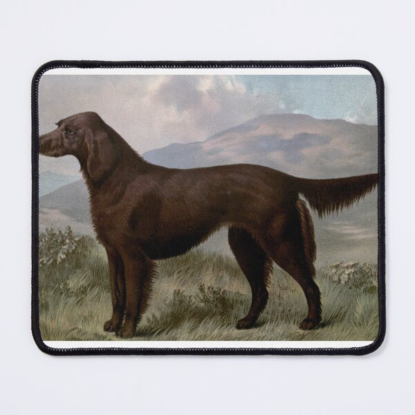 Item preview, Irish Setter Vintage Dog Chromolithograph Vero Shaw Dog Lover Gift designed and sold by ElegantTeaTime.