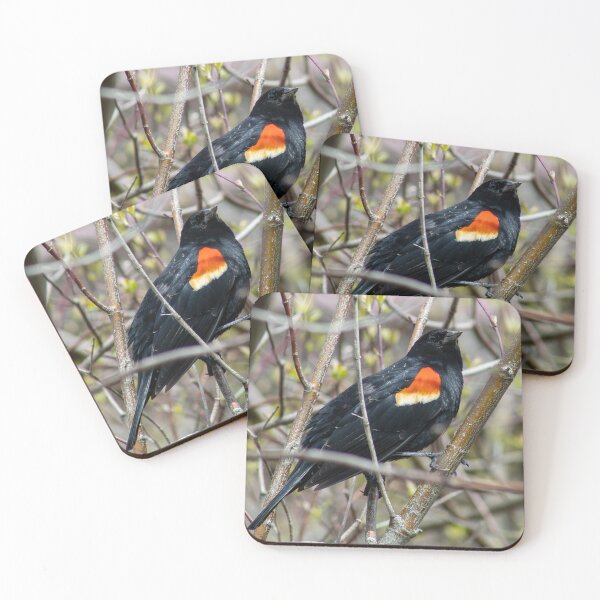 Item preview, Blackbird a Looking designed and sold by Tim Dusenberry.
