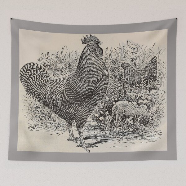 Item preview, Philips' 1899 Catalogue Barred Rock designed and sold by will-o-wares.