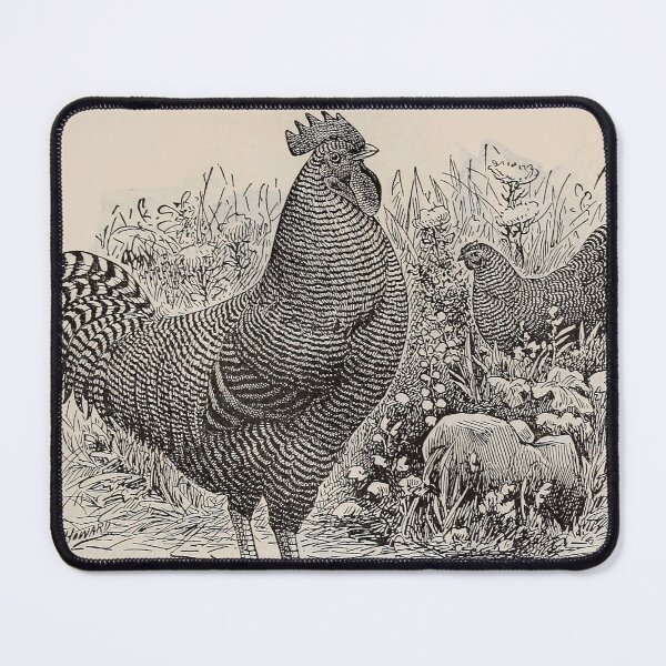 Item preview, Philips' 1899 Catalogue Barred Rock designed and sold by will-o-wares.
