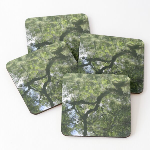 Item preview, Reflection of trees in the water. Nature background. Abstract. designed and sold by LiubovAvdeeva.