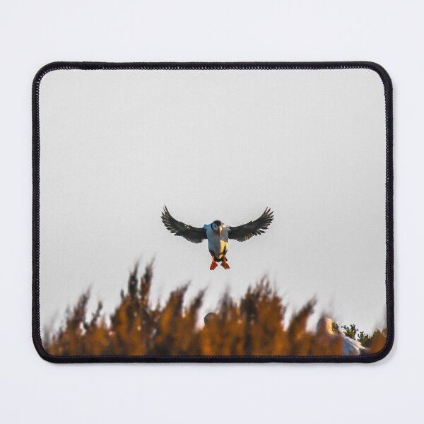 Item preview, Comin Home  designed and sold by KennyBImages899.