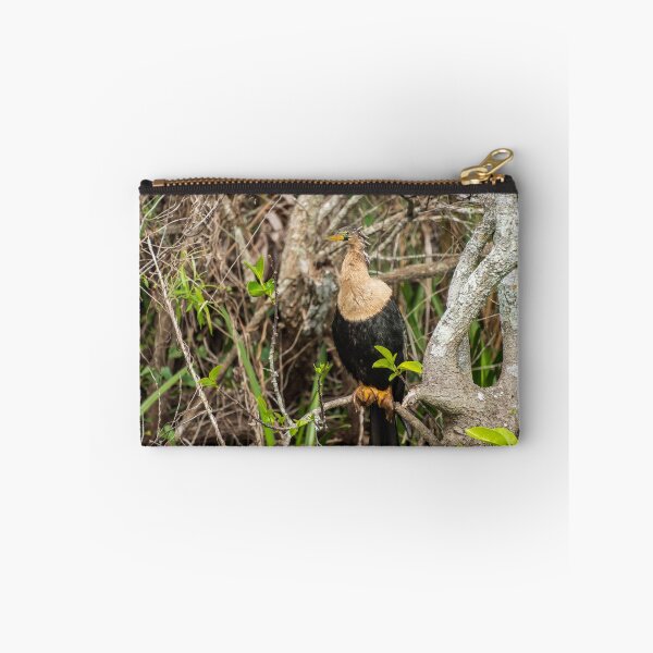 Item preview, Anhinga Bird | Shark Valley National Park designed and sold by TinyDinoDesigns.