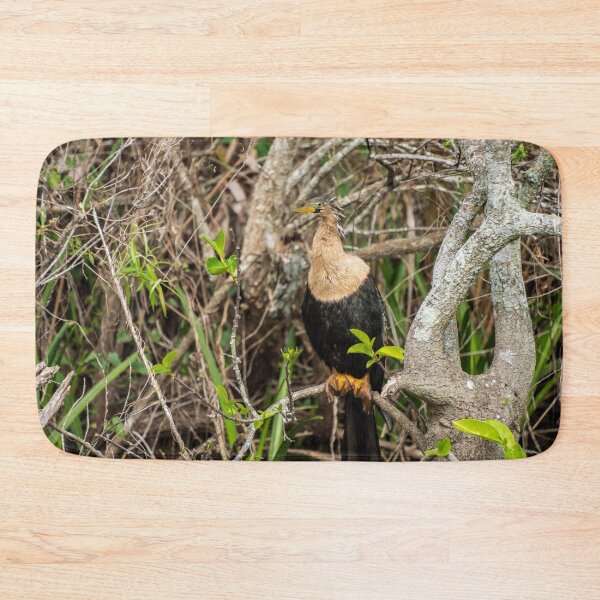 Item preview, Anhinga Bird | Shark Valley National Park designed and sold by TinyDinoDesigns.