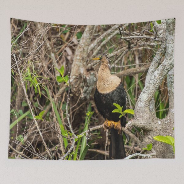 Item preview, Anhinga Bird | Shark Valley National Park designed and sold by TinyDinoDesigns.