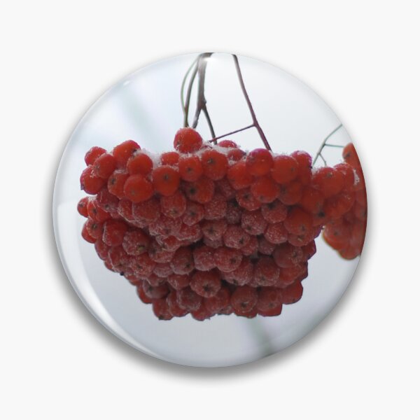 Item preview, frosty branches of Rowan on white background close-up designed and sold by LiubovAvdeeva.