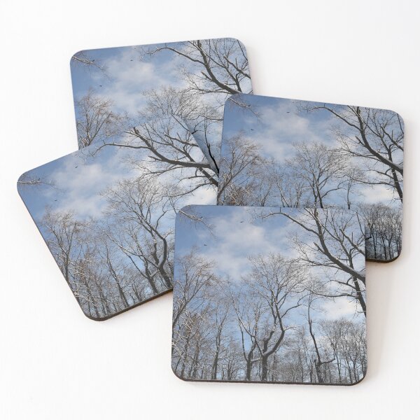 Item preview, Winter forest with bare trees and blue sky with clouds on background. designed and sold by LiubovAvdeeva.