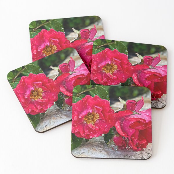 Item preview, Raindrops on Roses designed and sold by Sharron Demarest.