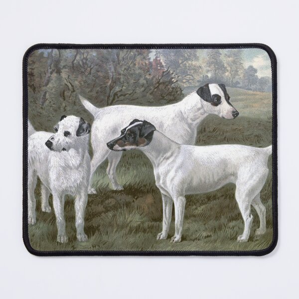Item preview, Fox Terriers Vintage Dogs Chromolithograph Vero Shaw Dog Lover Gift designed and sold by ElegantTeaTime.