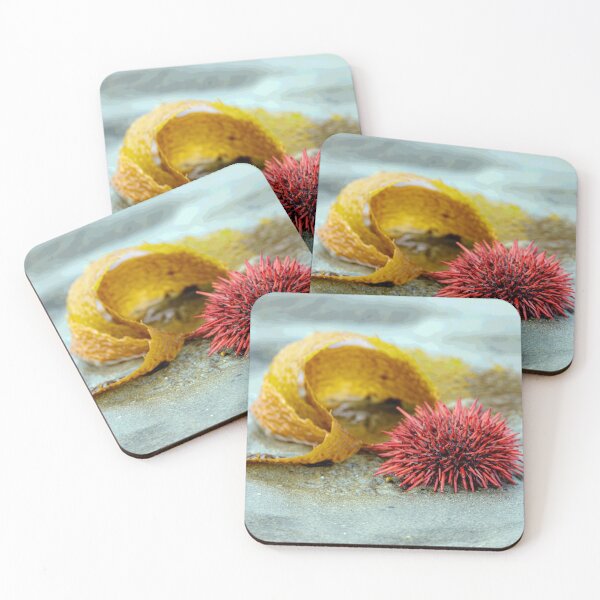 Item preview, Sea Urchin on a Morning Walk designed and sold by MelBolin.