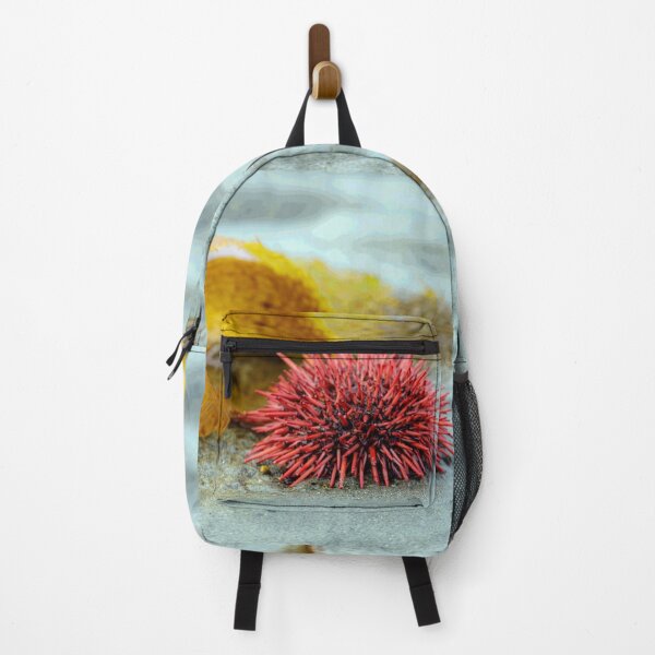 Item preview, Sea Urchin on a Morning Walk designed and sold by MelBolin.