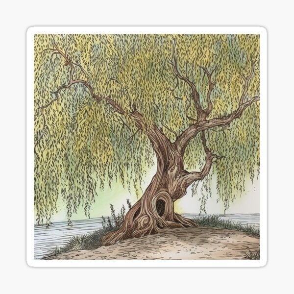 Item preview, Weeping willow tree designed and sold by ComicsFactory.