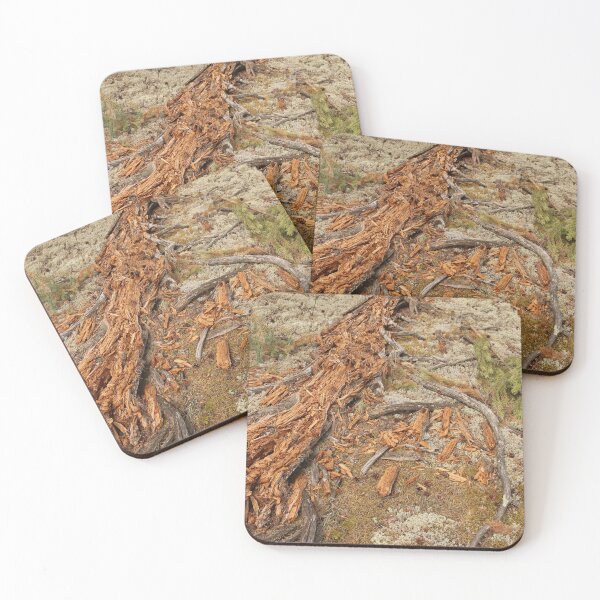 Item preview, fallen tree in the forest designed and sold by LiubovAvdeeva.