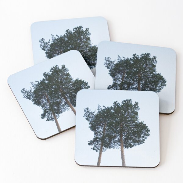 Item preview, Pine trees in the forest on blue sky background. Nature. designed and sold by LiubovAvdeeva.