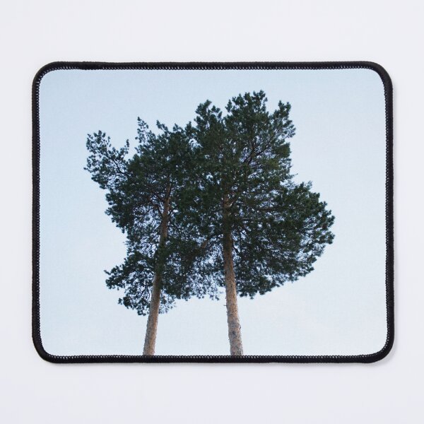 Item preview, Pine trees in the forest on blue sky background. Nature. designed and sold by LiubovAvdeeva.