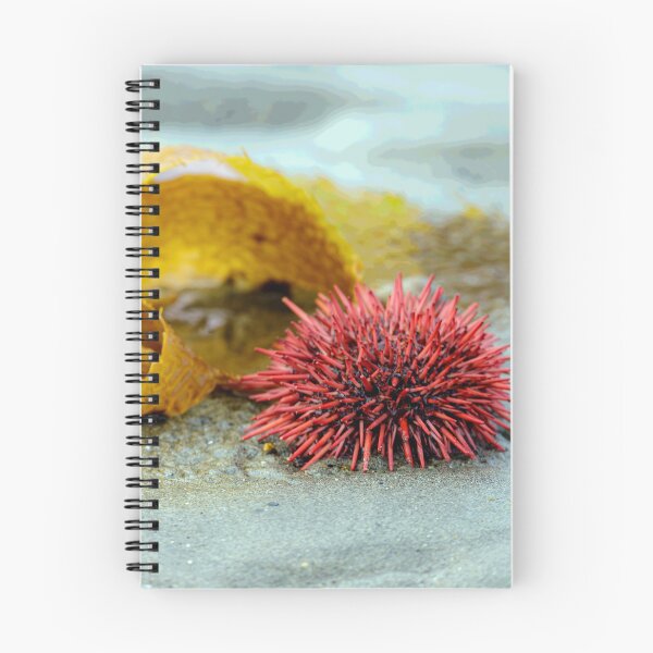 Item preview, Sea Urchin on a Morning Walk designed and sold by MelBolin.