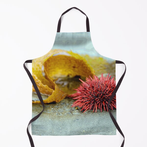 Item preview, Sea Urchin on a Morning Walk designed and sold by MelBolin.