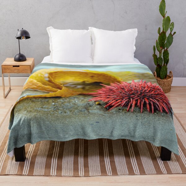 Item preview, Sea Urchin on a Morning Walk designed and sold by MelBolin.