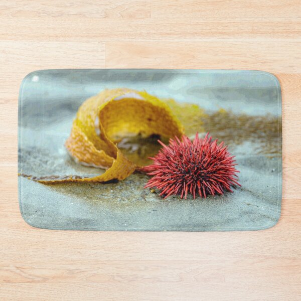 Item preview, Sea Urchin on a Morning Walk designed and sold by MelBolin.