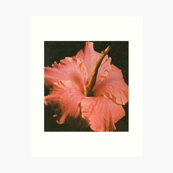 Aperçu de l'œuvre Plongée dans les fleurs créée et vendue par Maisie Kane.