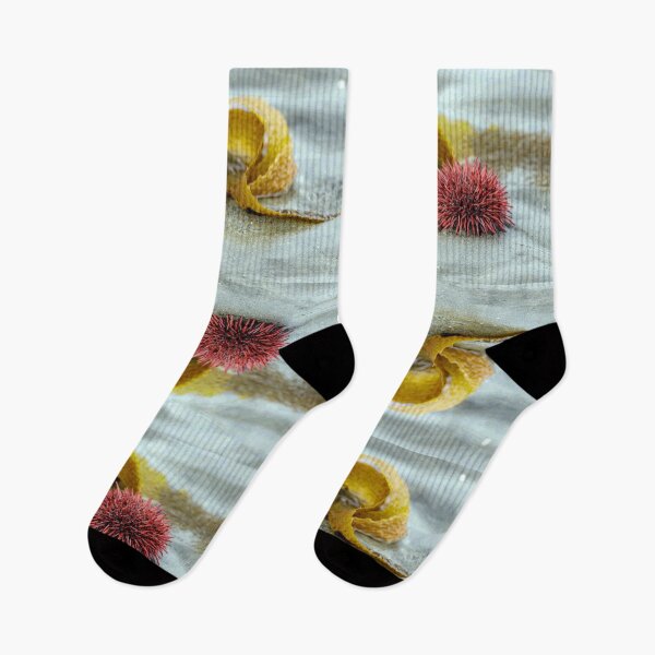 Item preview, Sea Urchin on a Morning Walk designed and sold by MelBolin.