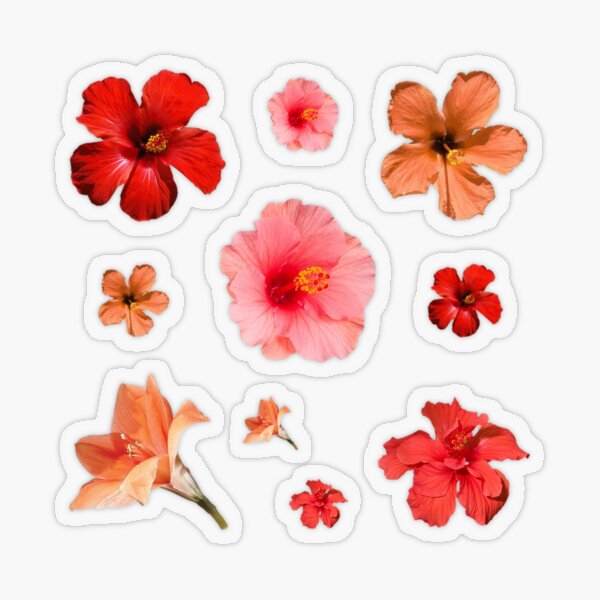 Item preview, tropical red and orange flowers sticker pack designed and sold by ---clara---.