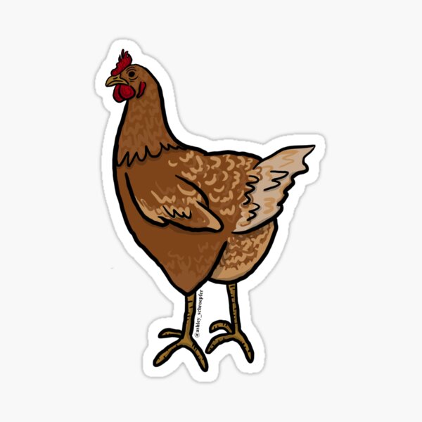 Chicken Sticker