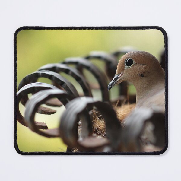 Item preview, Nesting Mourning Dove designed and sold by Debbie Oppermann.