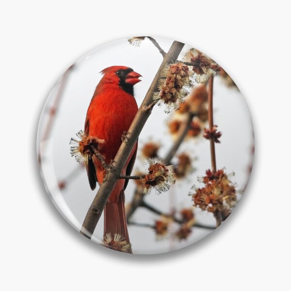 Item preview, Northern Red Cardinal designed and sold by Debbie Oppermann.