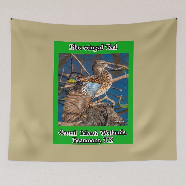 Item preview, For The Bird Lover In You: Blue-winged Teal ~ Cattail Marsh Wetlands, Beaumont, Texas designed and sold by MoreEZUSA-Here.