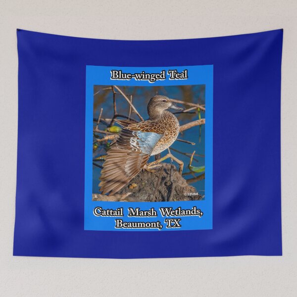Item preview, Give The Bird To Your Lover: Blue-winged Teal ~ Cattail Marsh Wetlands, Beaumont, Texas designed and sold by MoreEZUSA-Here.
