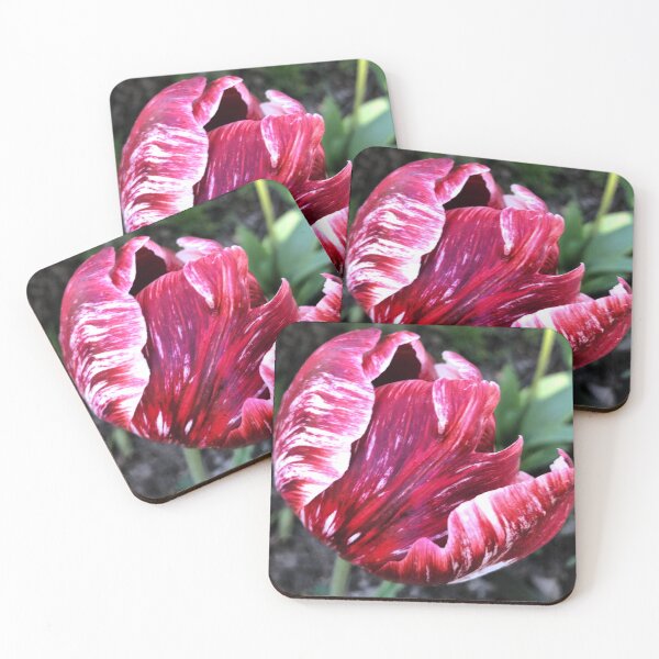 Item preview, Tulip Folds designed and sold by Helly Peacock.