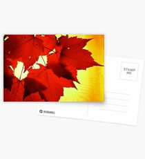 RED NOVEMBER Postcards