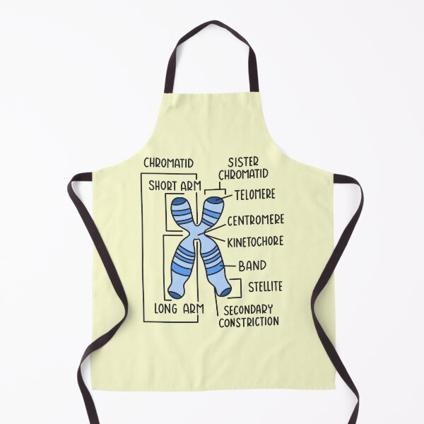 Item preview, Hand Drawn Chromosome designed and sold by SofiaSava01.