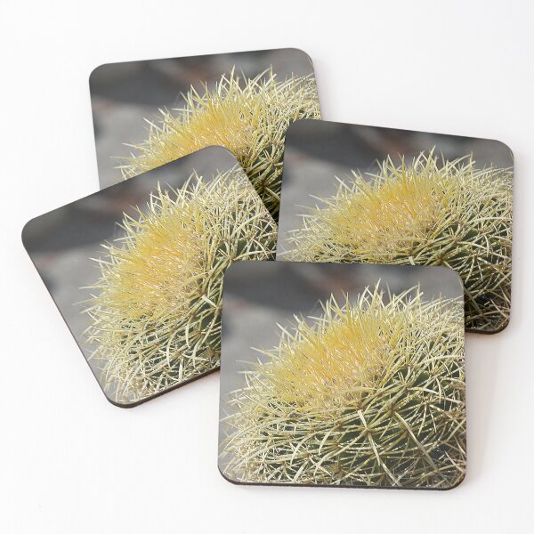Item preview, Mission San Miguel Clustered Golden Barrel Cactus designed and sold by Tdcc2000.
