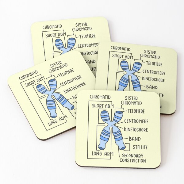 Item preview, Hand Drawn Chromosome designed and sold by SofiaSava01.