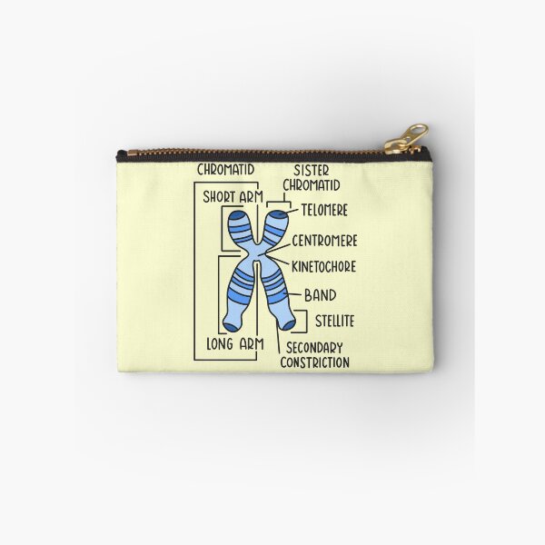Item preview, Hand Drawn Chromosome designed and sold by SofiaSava01.