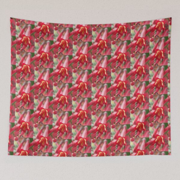 Item preview, Phygelius × rectus  Somerford Funfair Coral = 'Yapcor'   Somerford Funfair Series designed and sold by Chris Burrows.